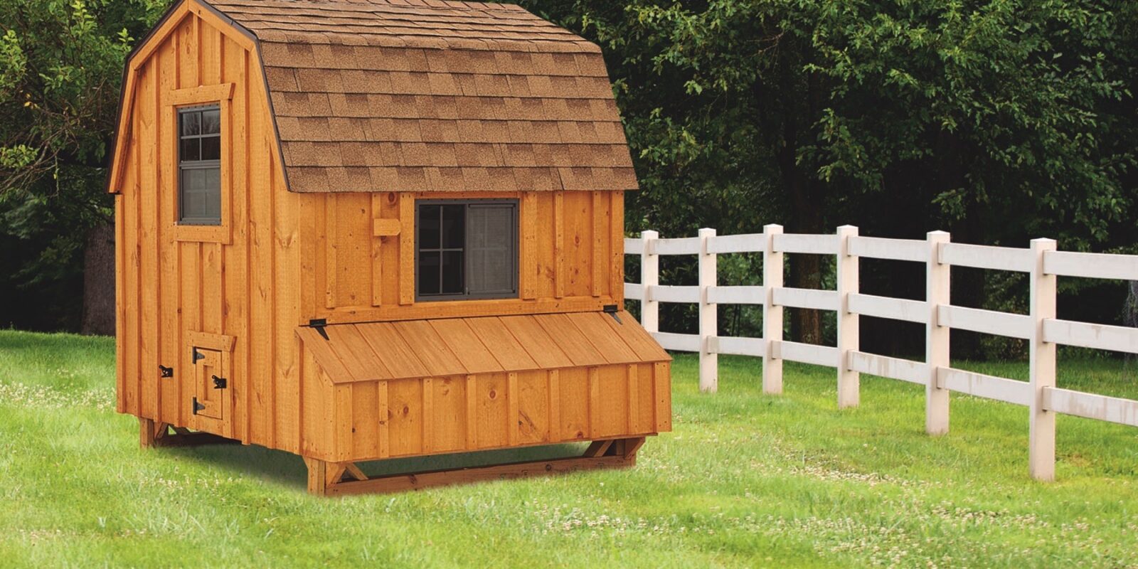 barn style chicken coops 6x6 Dutch