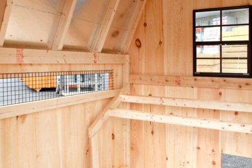barn style chicken coops BB D66 9