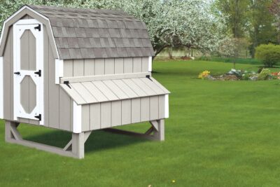 barn style chicken coops 4x6 Dutch 1
