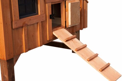 chicken coos L35 Chicken Ramp