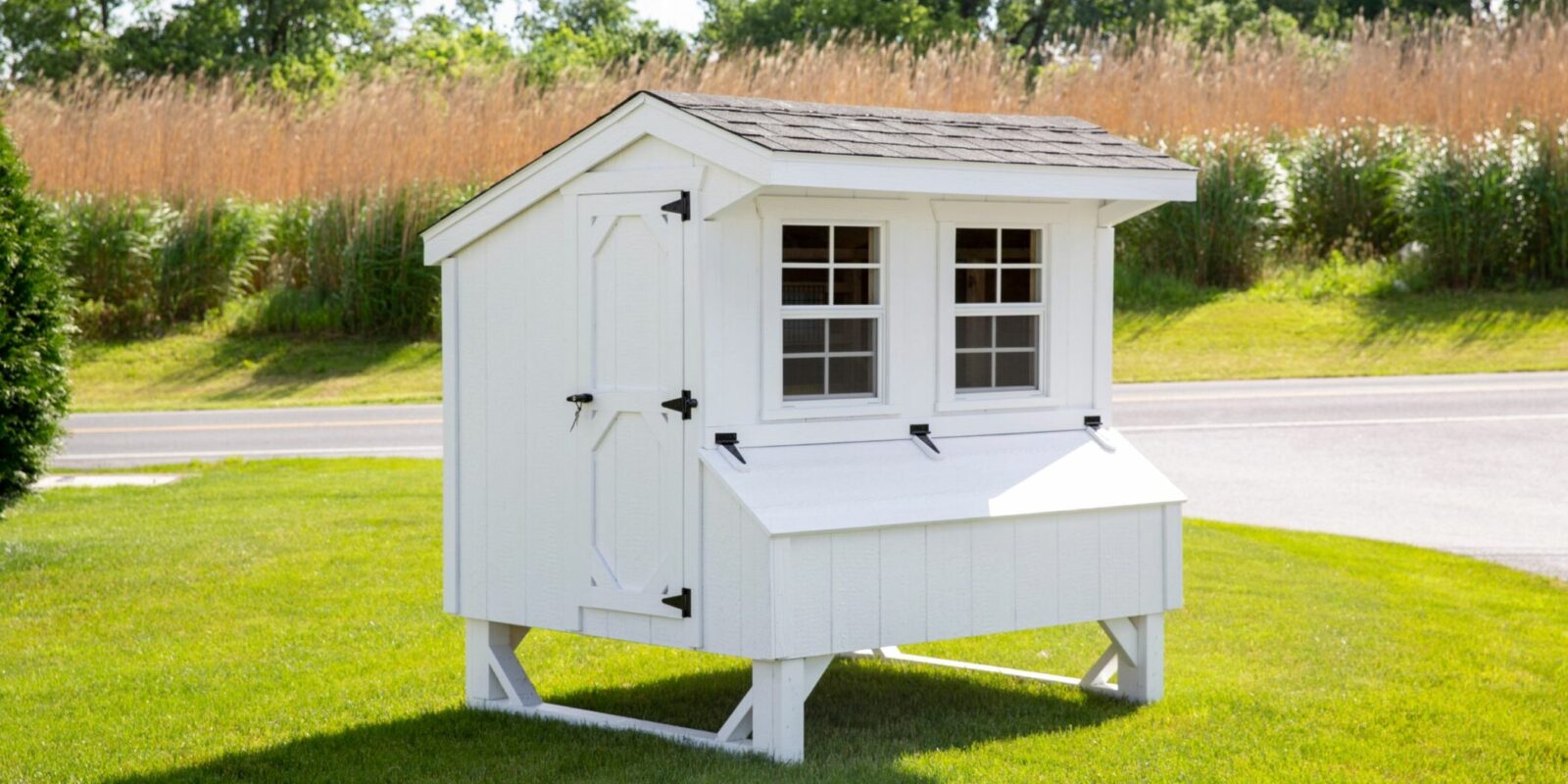 chicken coop ideas coop