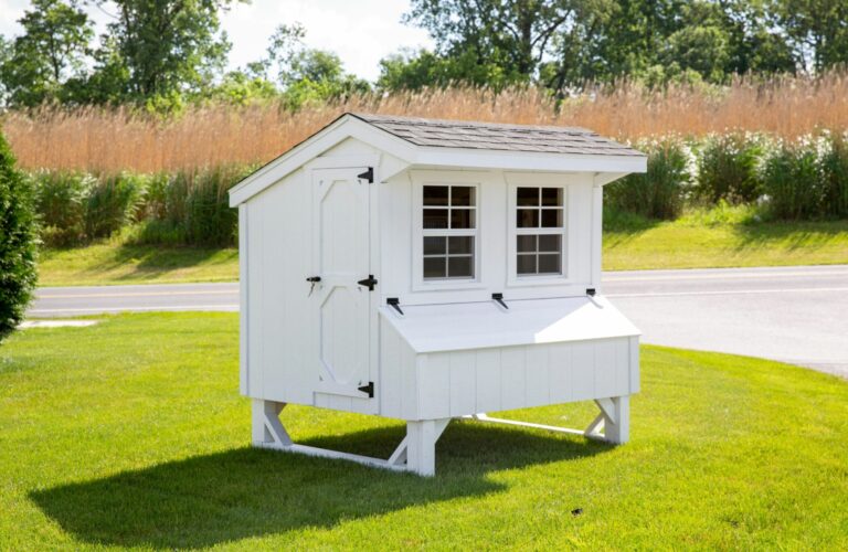 chicken coop ideas coop