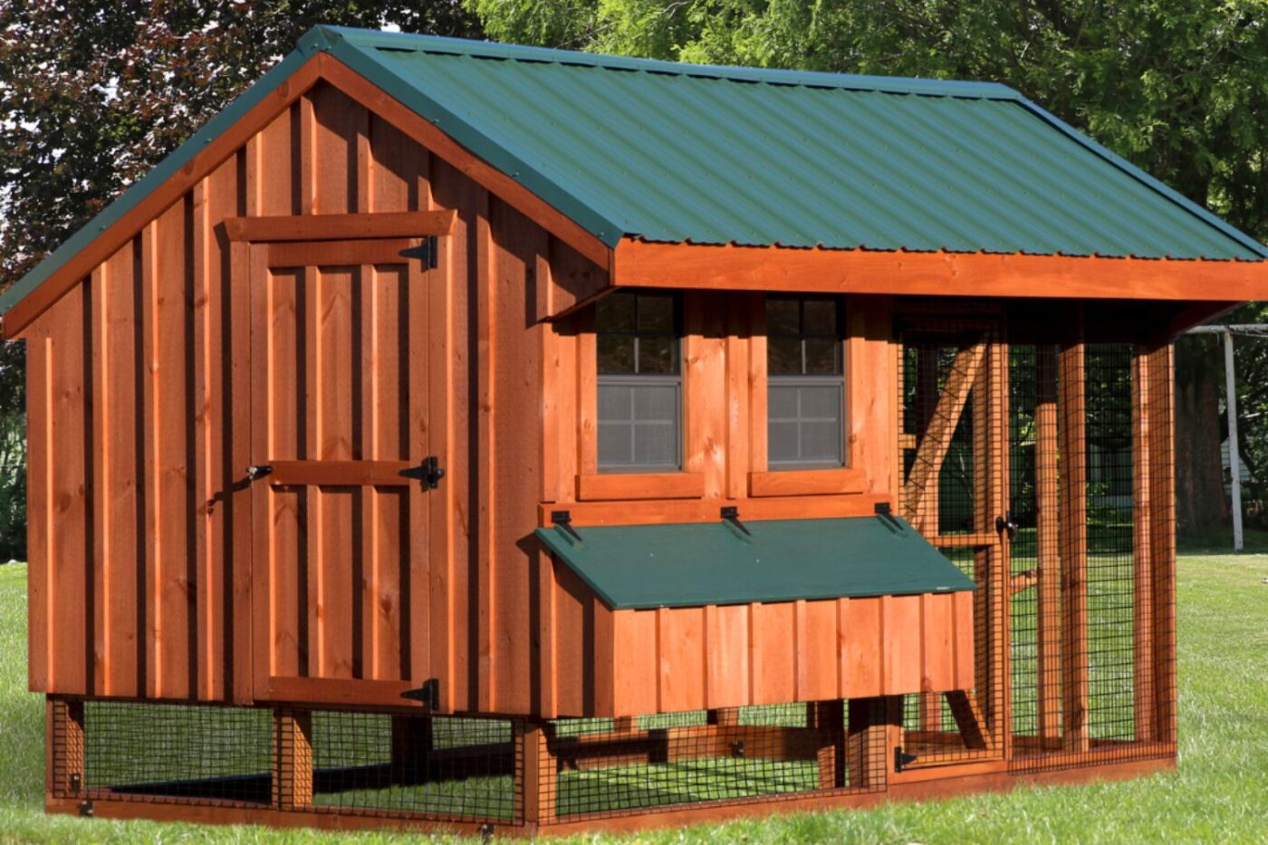 backyard chicken coops for sale in arizona