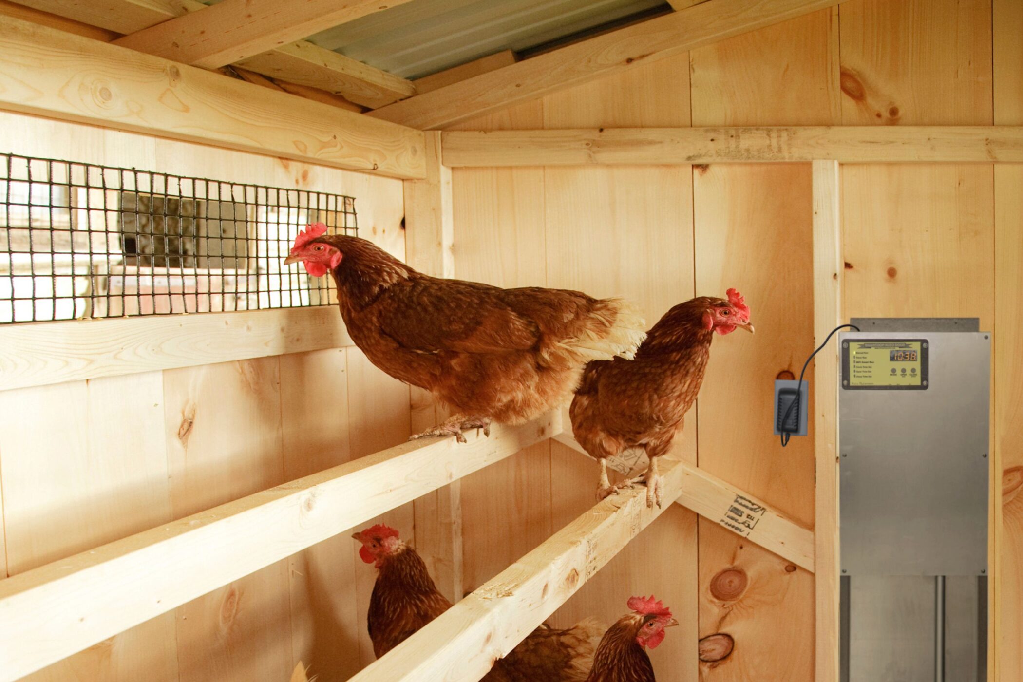 automatic chicken door (1)