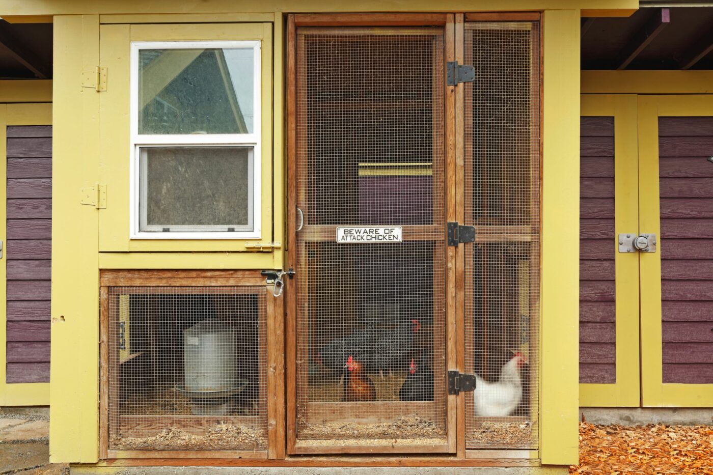 chicken coop ideas themed coop