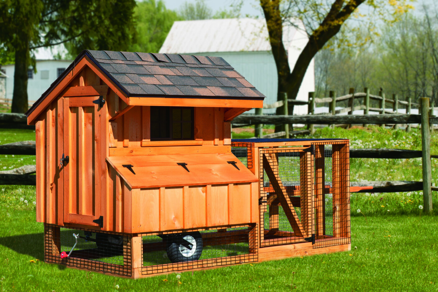 Chicken Coop Ramps