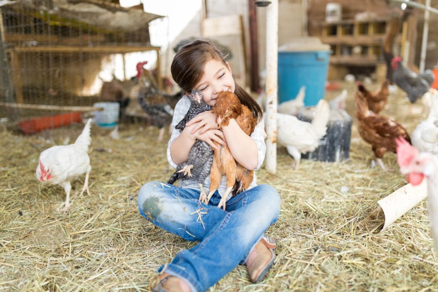 chicken coop size (10)