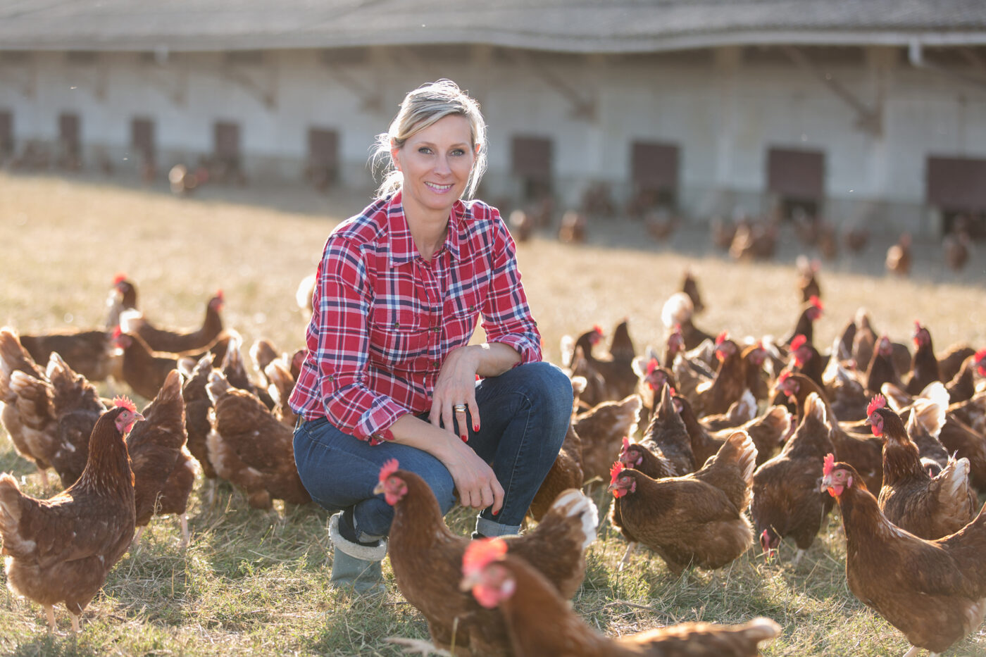 chicken coop size farmer