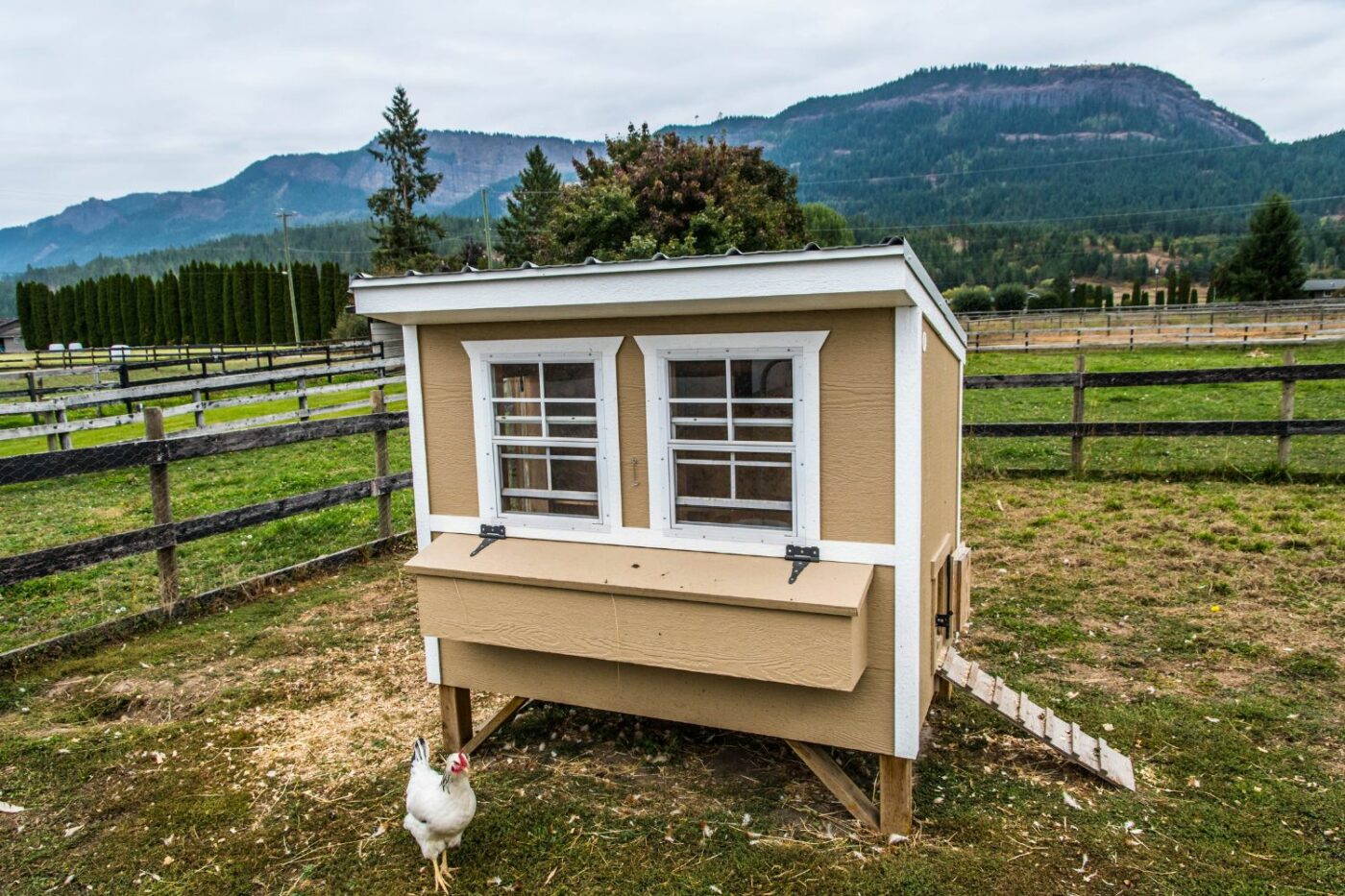 how big of a chicken coop