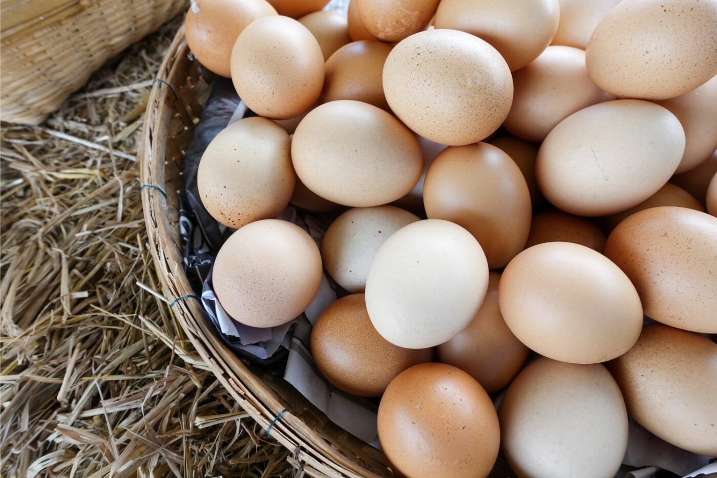 Cleaning your chicken coop fresh eggs
