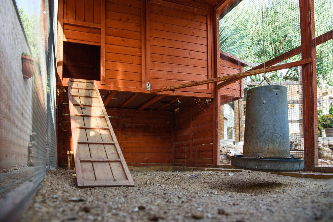 how often do you change chicken bedding