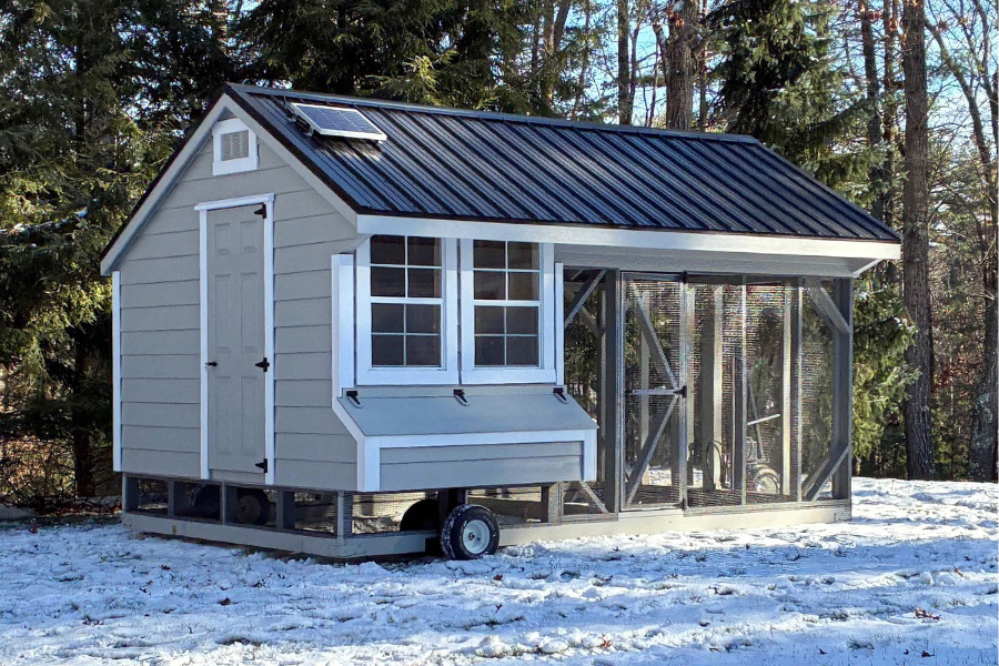 gray and white trimmed chicken coop in the snow