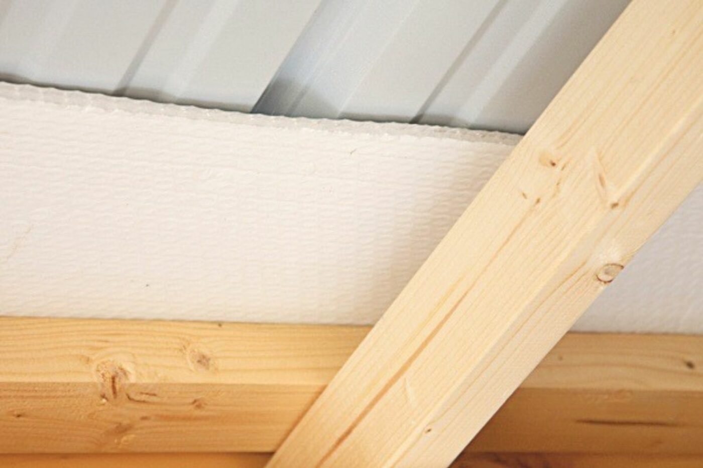 Inside a Chicken Coop Insulation