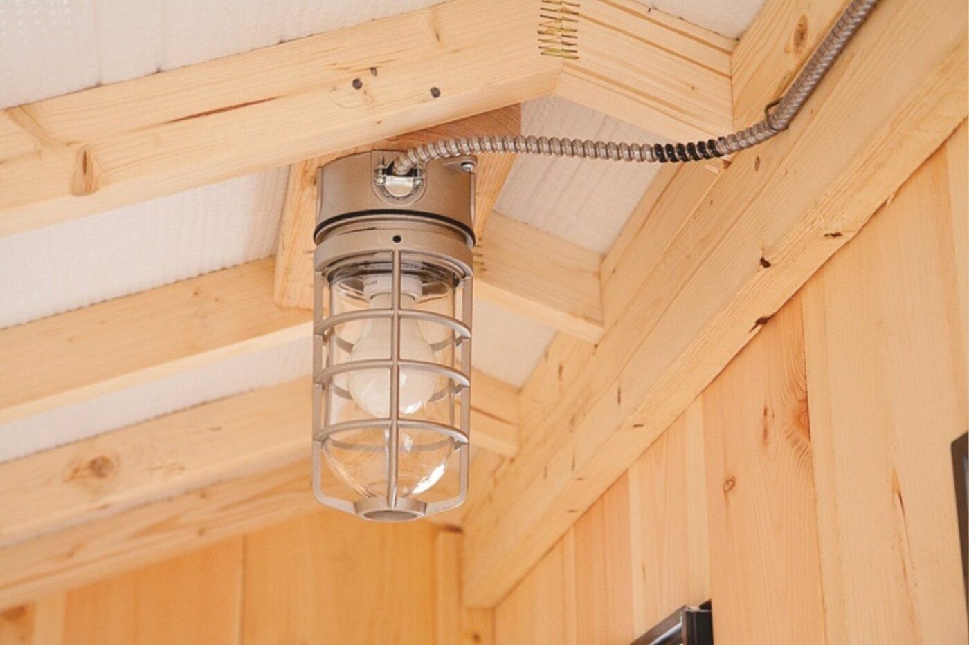Inside a Chicken Coop Lighting