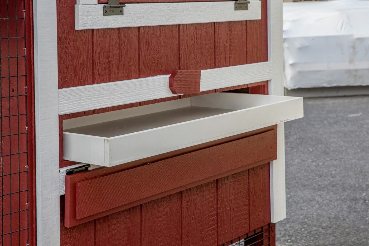 Inside a Chicken Coop Litter Tray