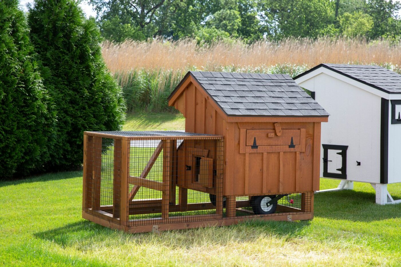 tractor coop (2)