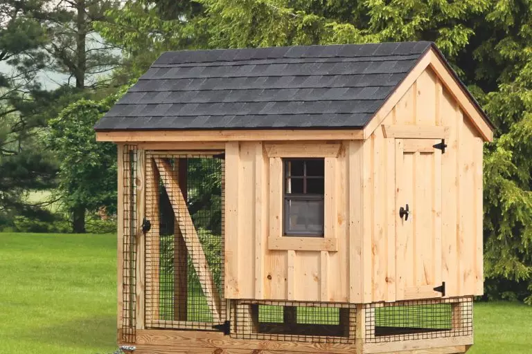 chicken coop and run A46C back B 768x512 c jpg