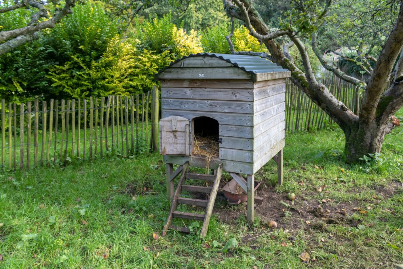 chicken coop ideas coop gallery (2)