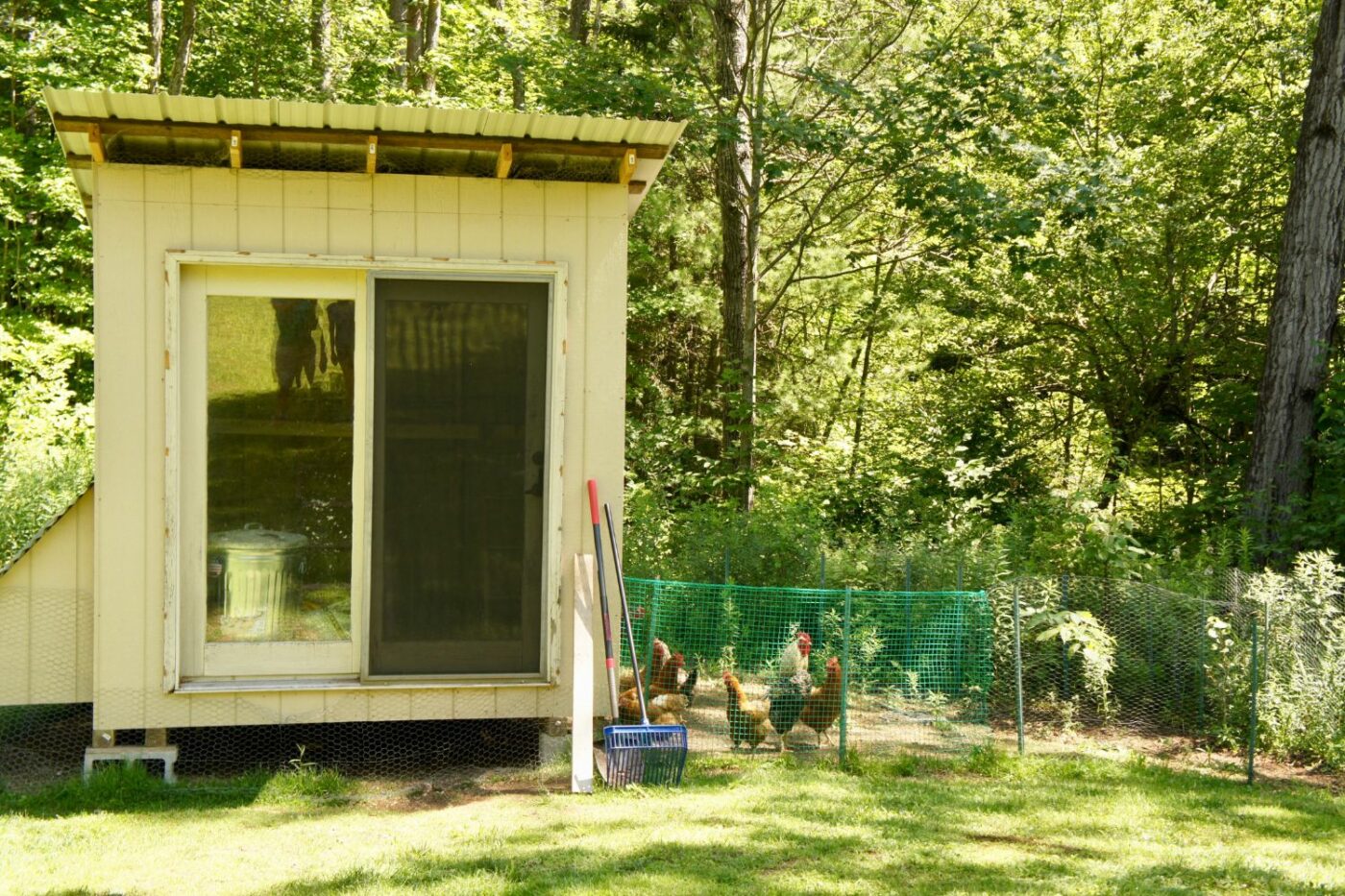 chicken coop ideas coop gallery (4)
