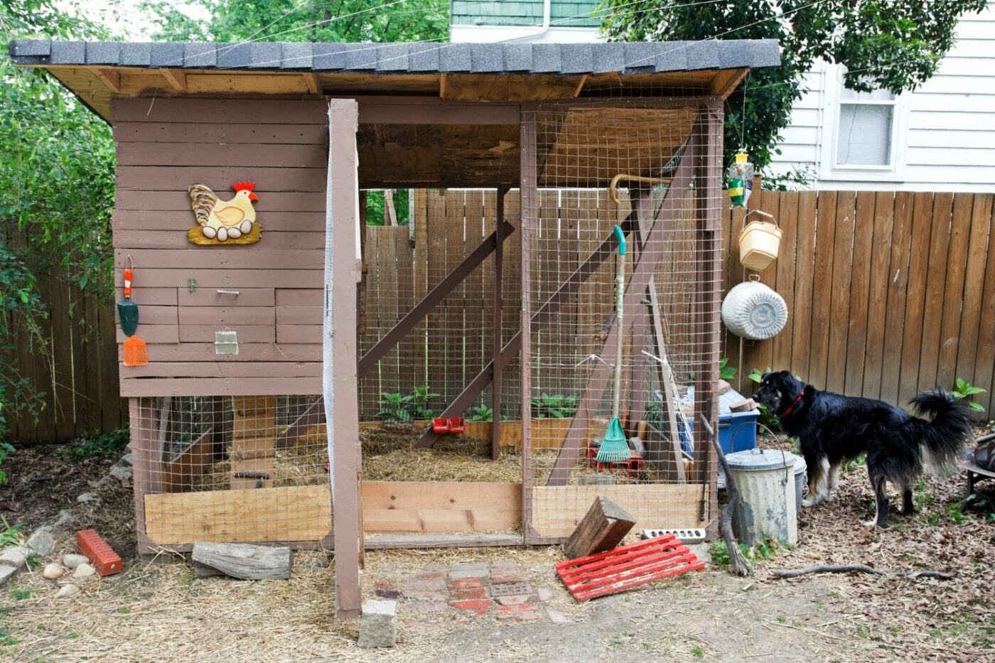 chicken coop ideas coop gallery (5)