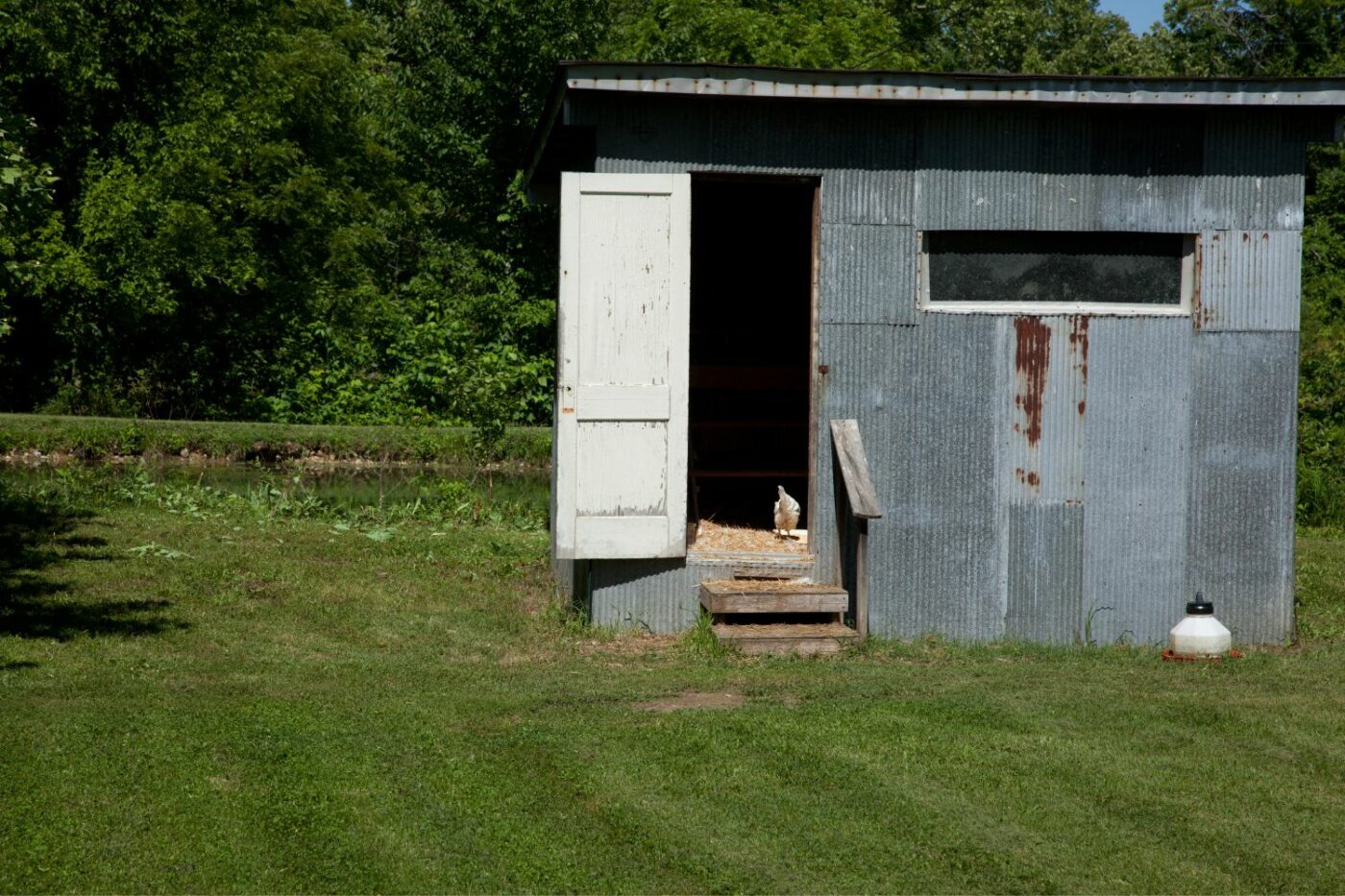 chicken coop ideas coop gallery (7)