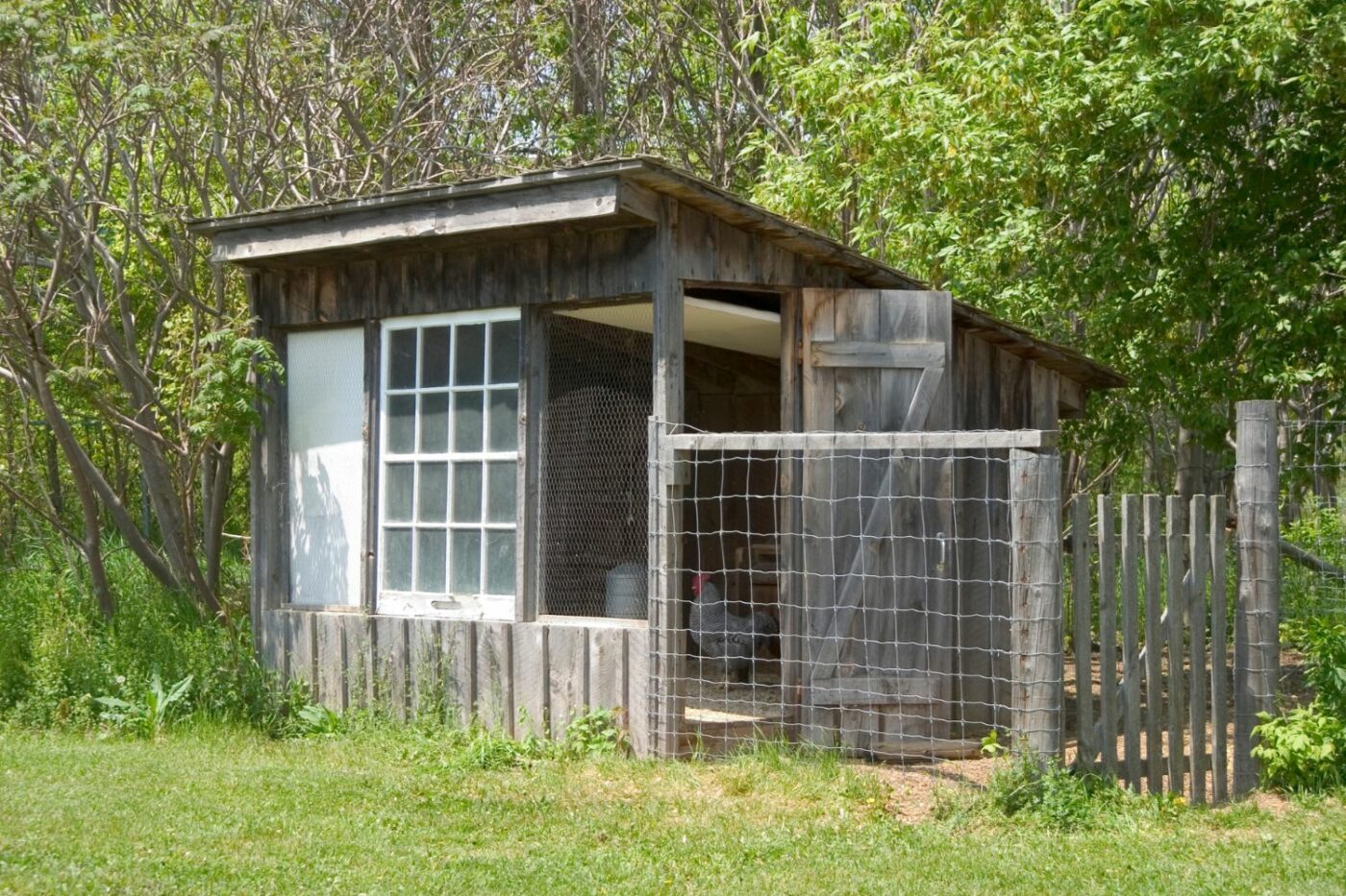 chicken coop ideas coop gallery (8)