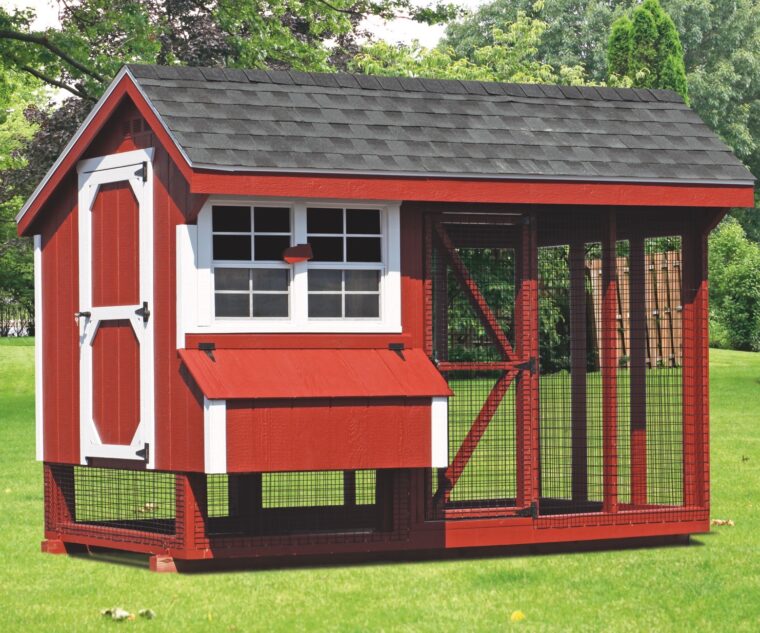 chicken coop and run 6x10 Combination 1