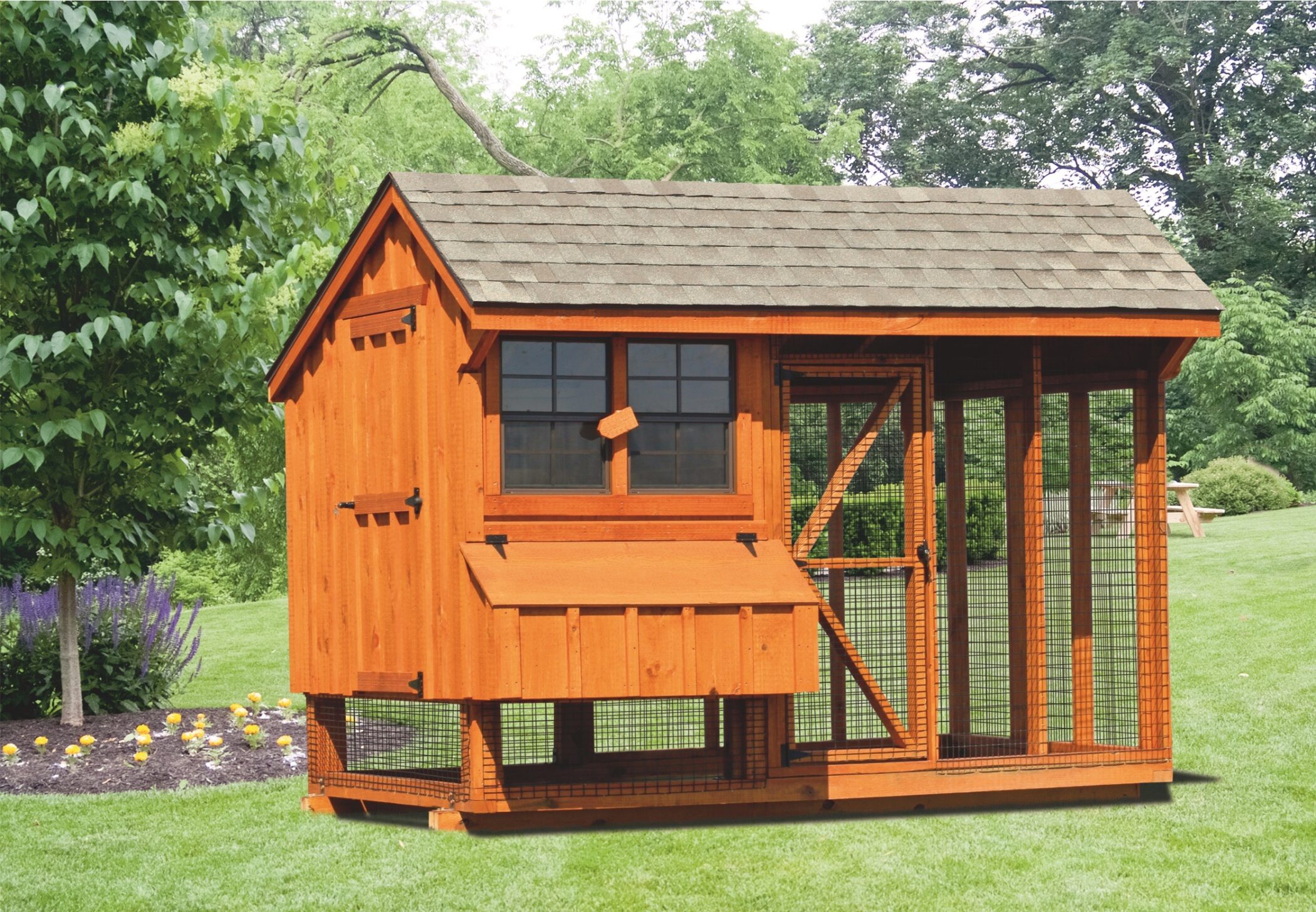 chicken coop and run 6x10 Combination