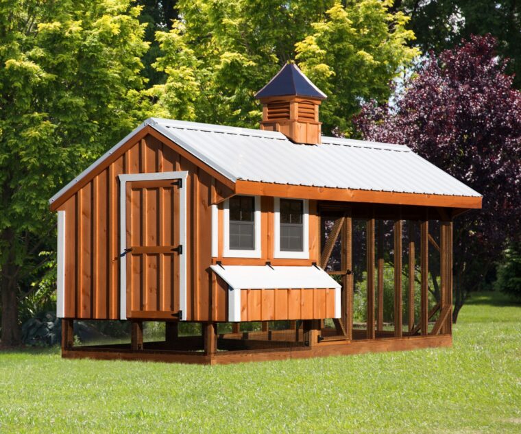 chicken coop and run Q716C BB
