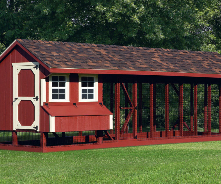 chicken coop and run Q728C edited