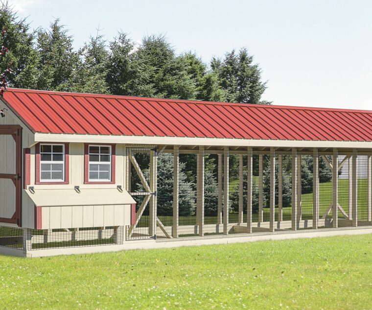 chicken coop and run combi 7x32 lg