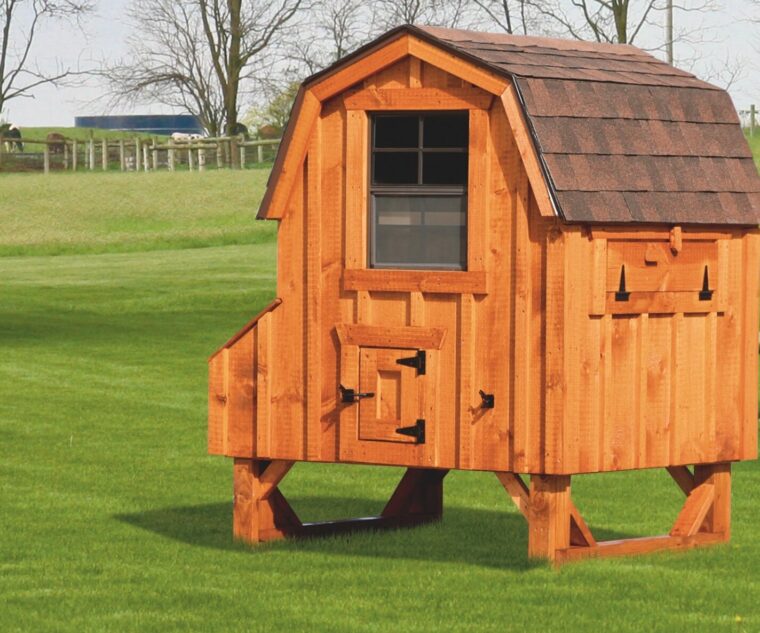 barn style chicken coops 4x4 Dutch With board and batten siding 78” high 14” off ground 4 nesting boxes Cedar stain Walnut brown shingles
