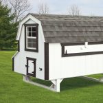 barn style chicken coops 4x8 Dutch