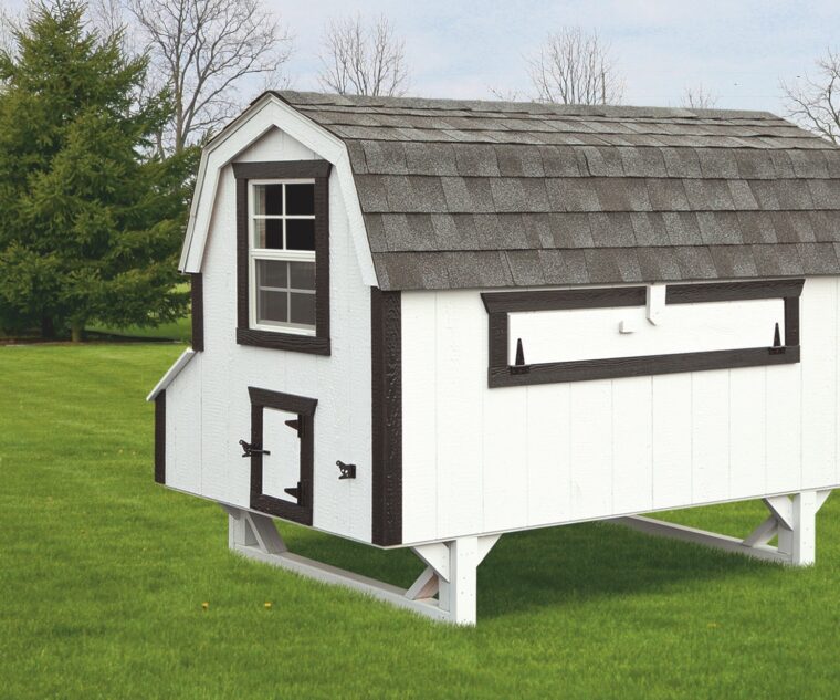 barn style chicken coops 4x8 Dutch