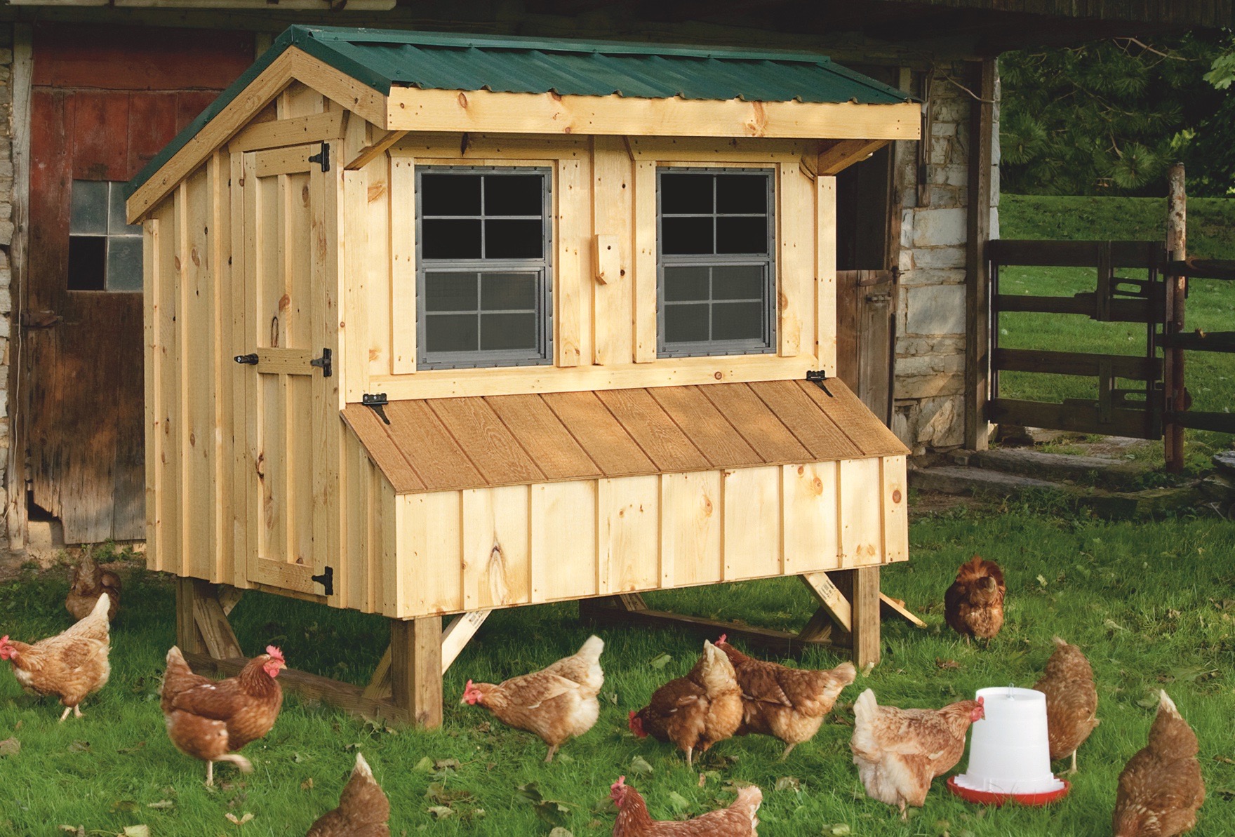 amish chicken coop builder
