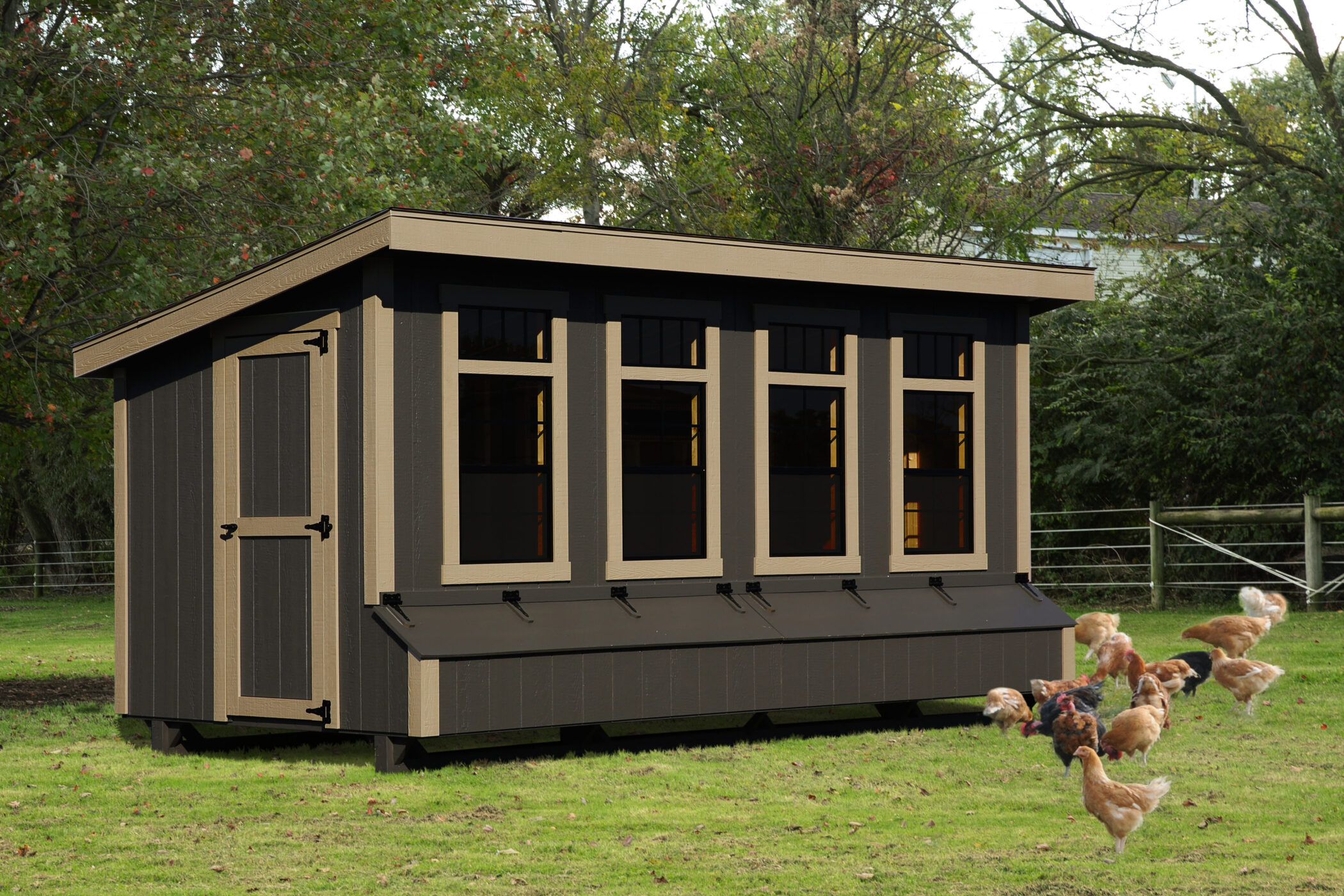 dark brown modern style lean to chicken coops for sale in Overland Park KS with tan trim and four large front windows