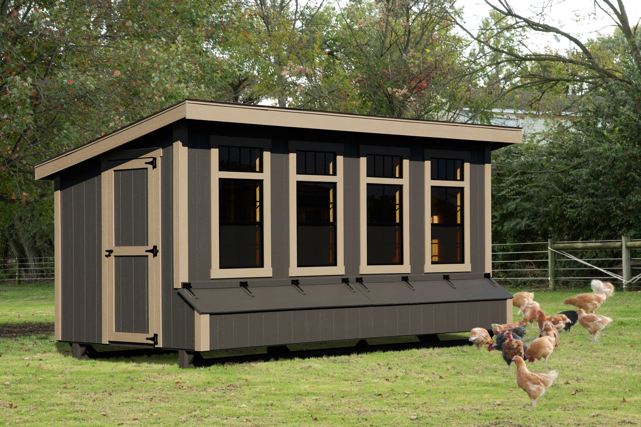 dark brown modern style lean to coops with tan trim and four large front windows with egg collection boxes underneath and chickens in front of it