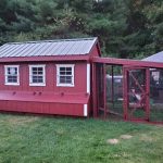 dorothys chicken coop