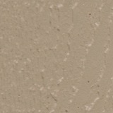 chicken coop accessories Buckskin Paint