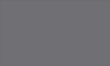 Pewter Gray