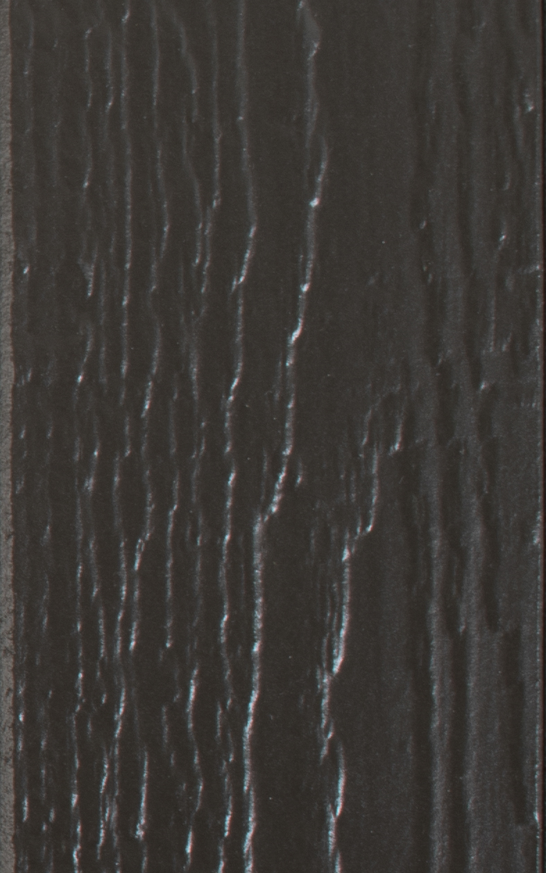 Black Fox Paint