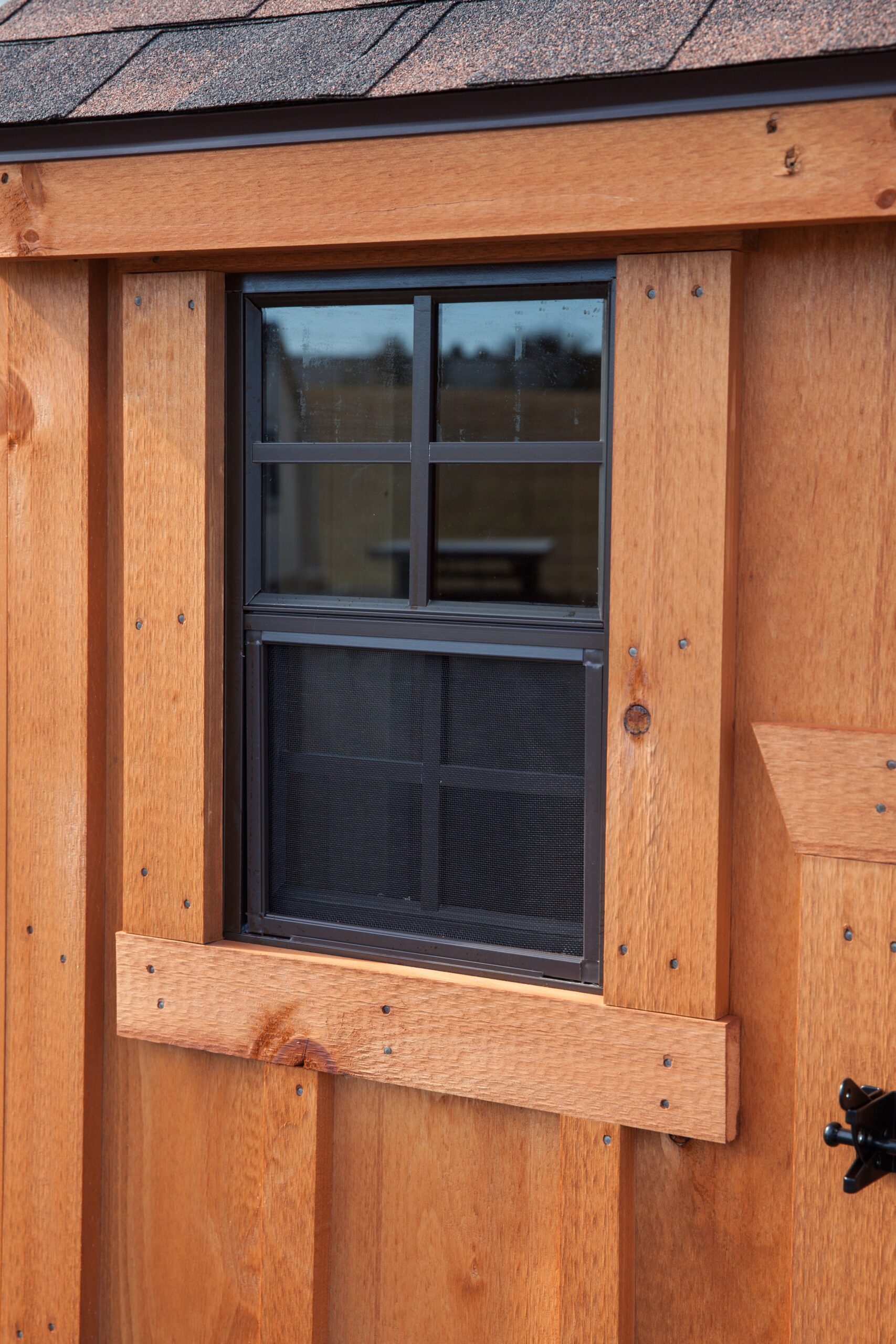 window with screen