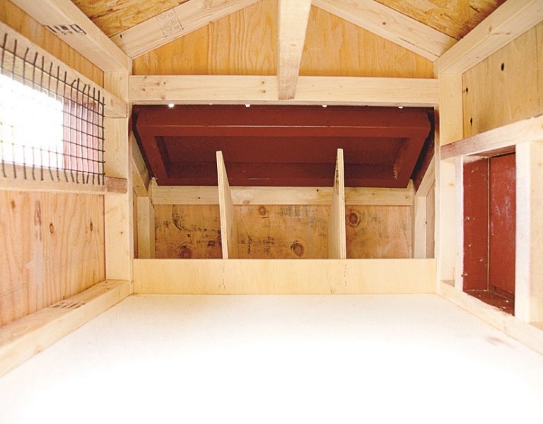 deluxe chicken coops Interior of A33 A44