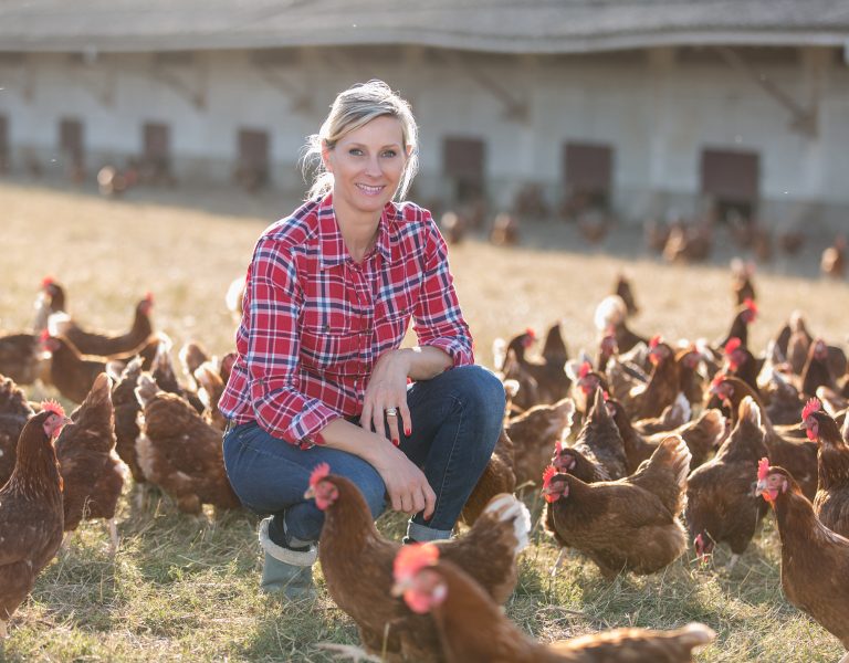 how to raise chickens in your backyard