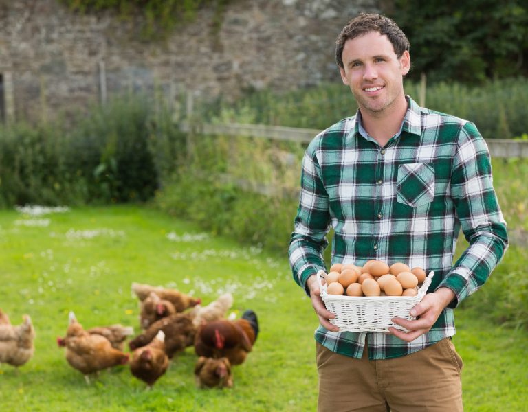 chicken coop size hobby farmer
