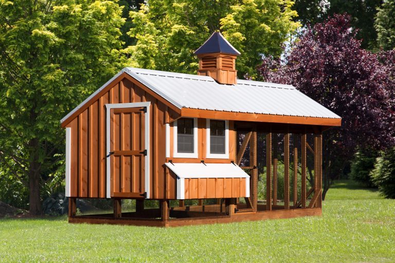 chicken coop for raising commercial chickens