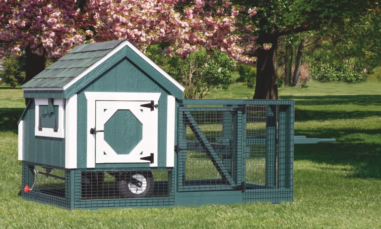 3x3 backyard chicken coops
