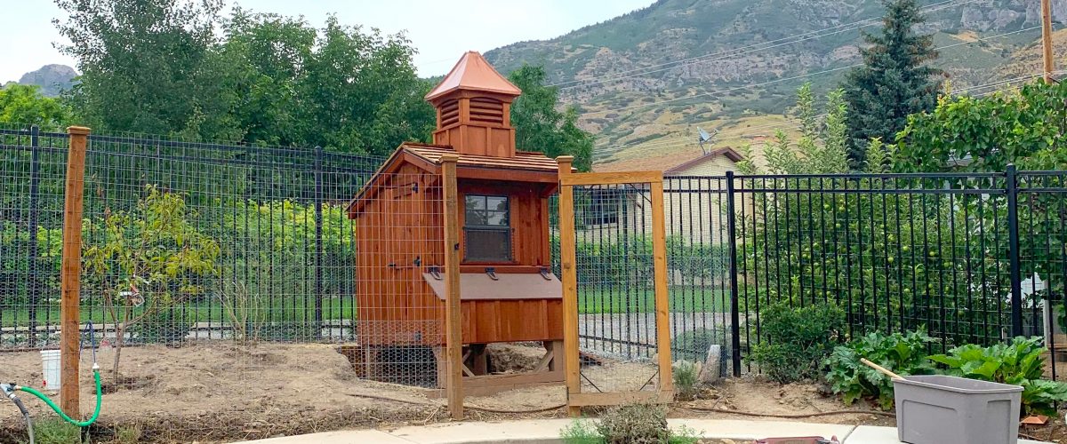 chicken coop in utah for sale