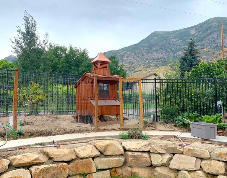 chicken coop in utah for sale