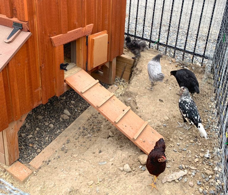 buy a chicken coop in utah